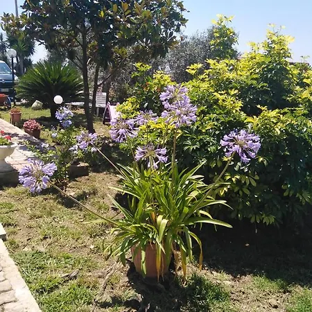 Alloggio1