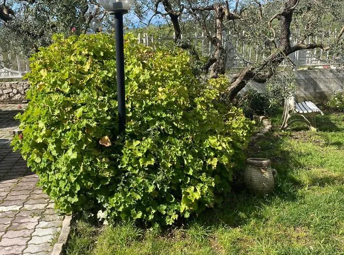 Alloggio1